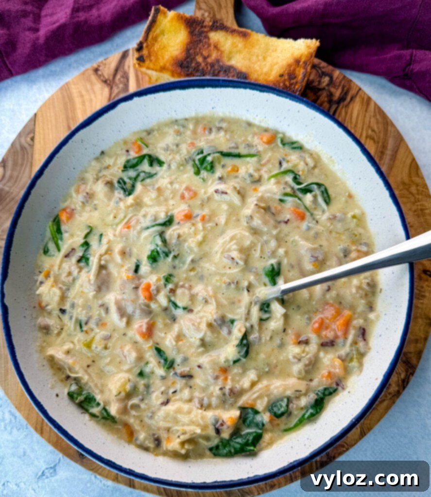 Velvety Chicken Wild Rice Soup 10 Chicken wild rice soup in a white bowl with a spoon, ready to enjoy.