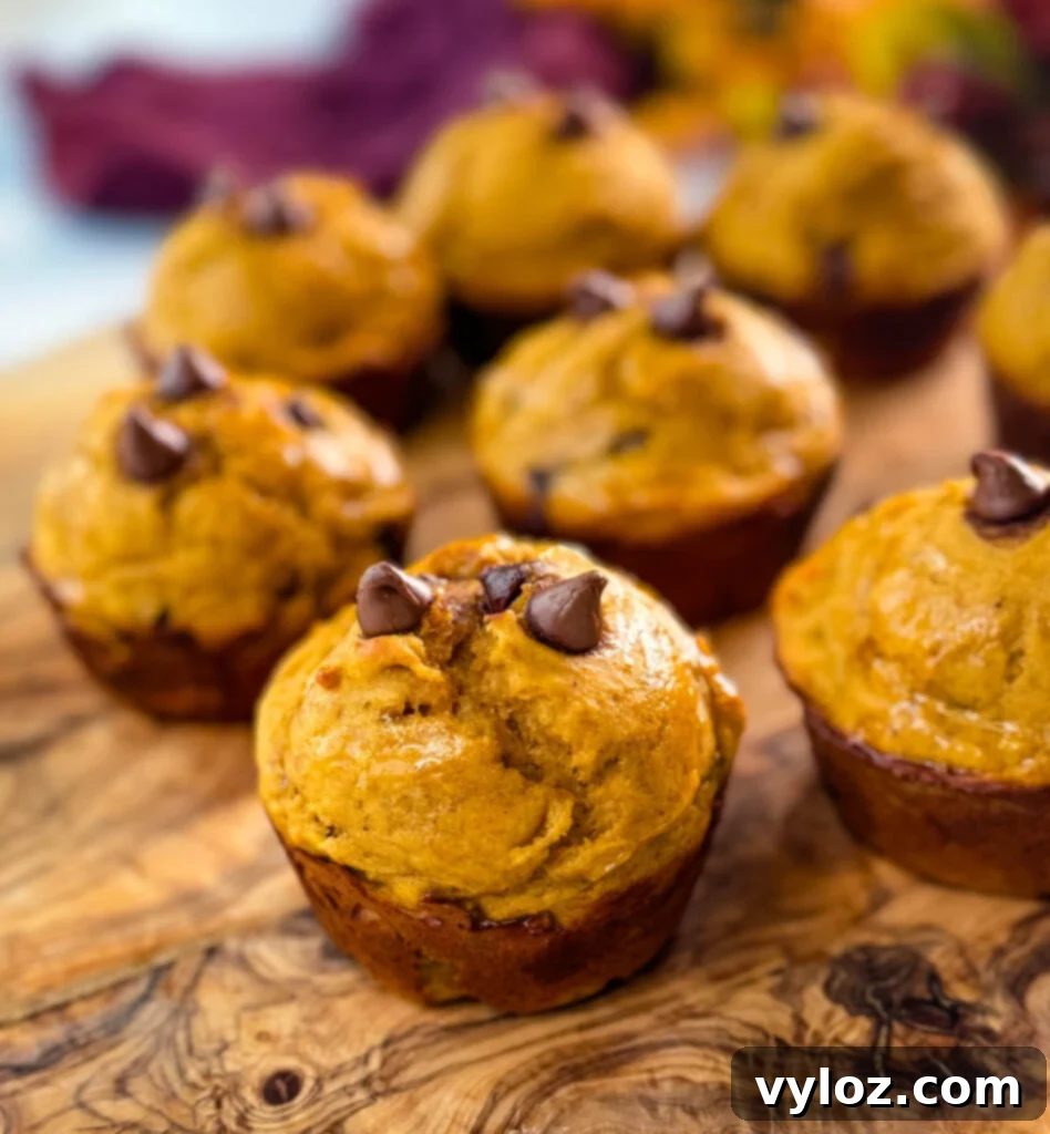 Delicious pumpkin protein muffins on a rustic wooden surface, highlighting their golden-brown tops and moist texture.