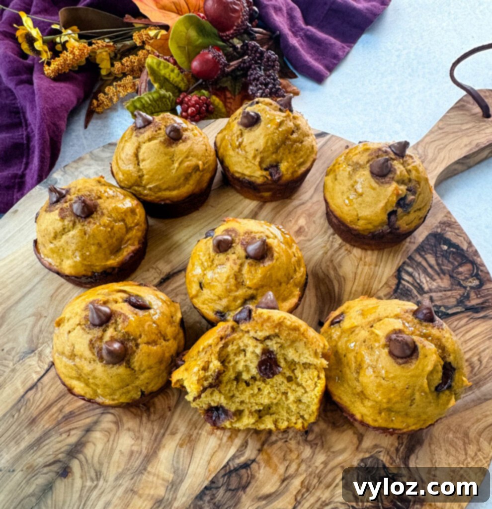 A final inviting image of pumpkin protein muffins arranged on a flat surface, showcasing their golden hue and delicious promise.