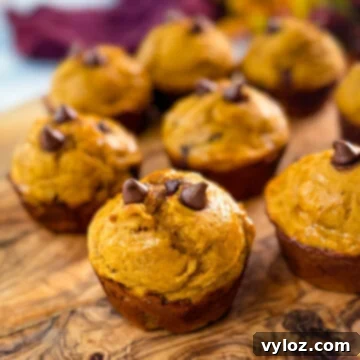 A final inviting image of pumpkin protein muffins arranged on a flat surface, showcasing their golden hue and delicious promise.