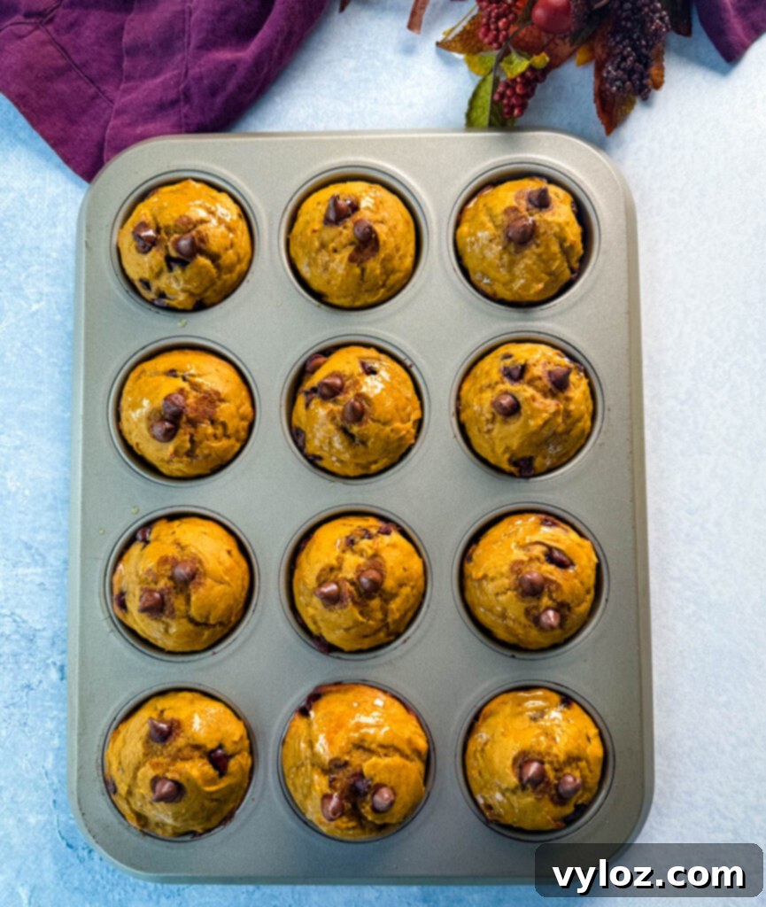 Freshly baked pumpkin protein muffins in a muffin tin, showcasing their perfectly risen, golden-brown tops.