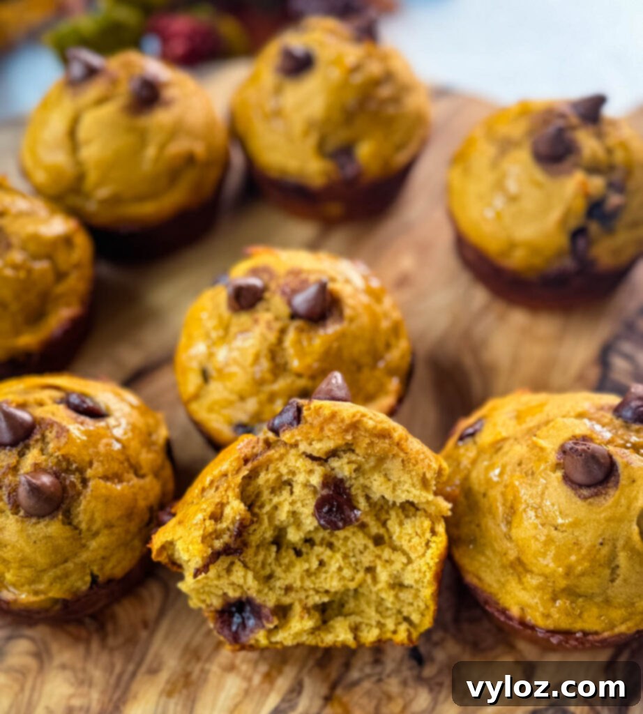 Another appealing shot of pumpkin protein muffins, perfect for showcasing their delicious appeal on a flat surface.