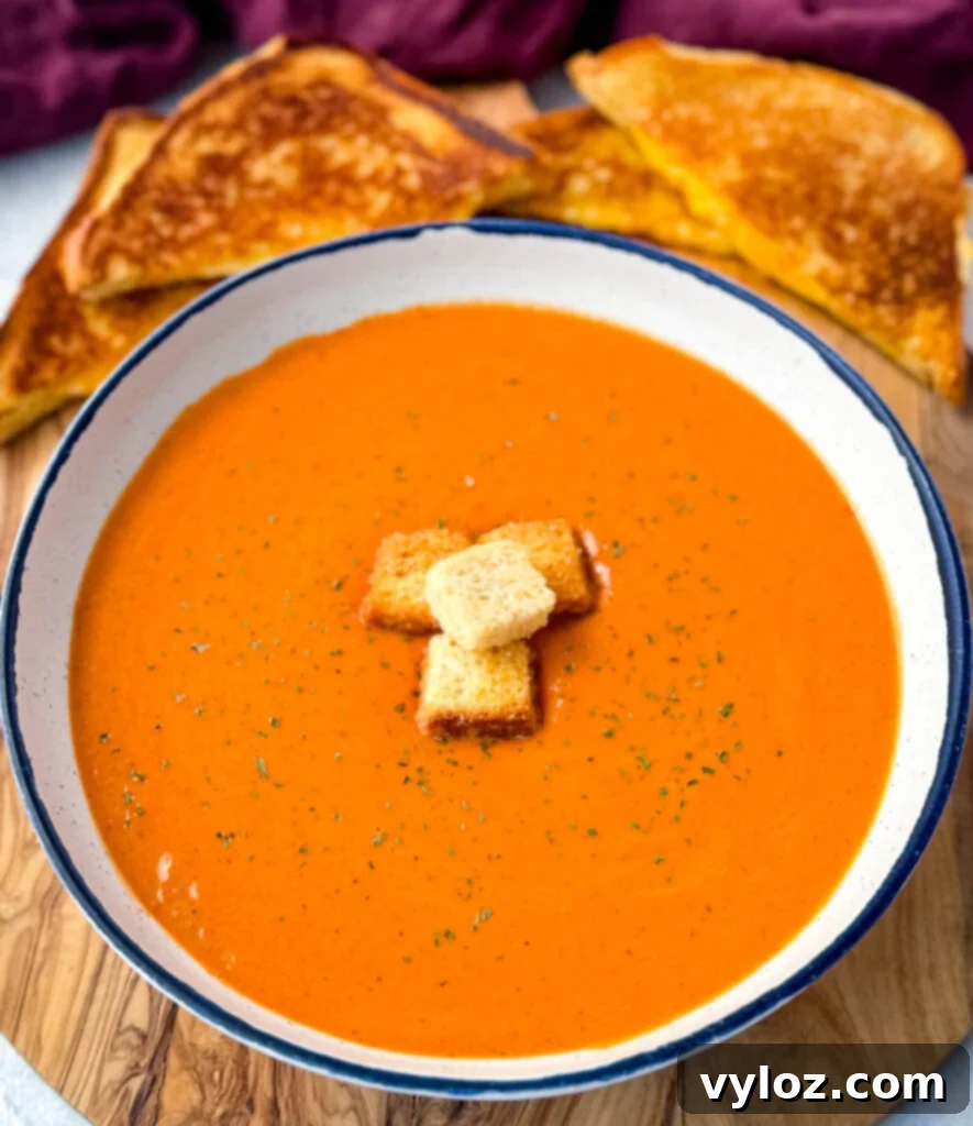 Gourmet Grilled Cheese & Tomato Soup Pairings 12 A bowl of creamy tomato soup with croutons and a grilled cheese sandwich, showcasing the perfect comfort meal.