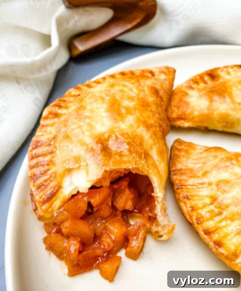 Golden Air Fryer Dessert Empanadas 16 Air Fryer Apple Cinnamon Dessert Empanadas