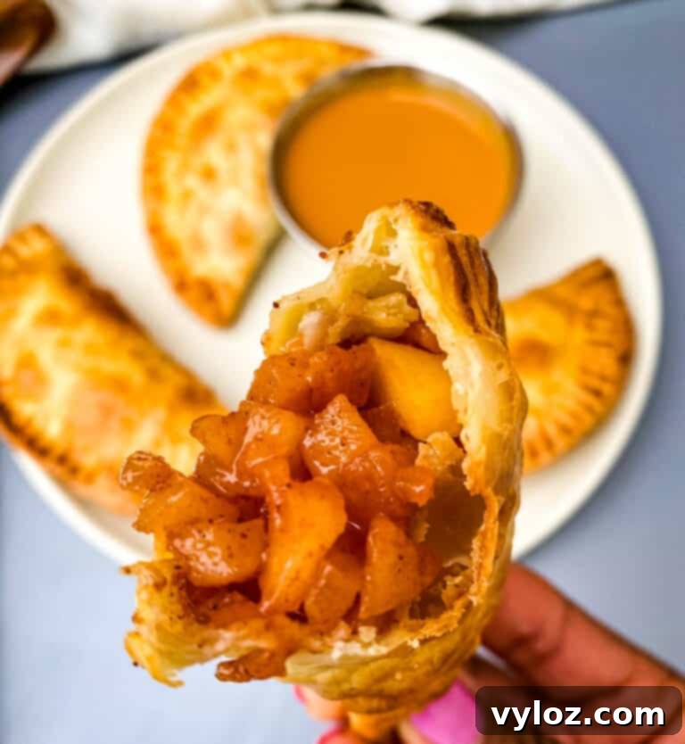 Golden Air Fryer Dessert Empanadas 17 Air Fryer Apple Cinnamon Dessert Empanadas