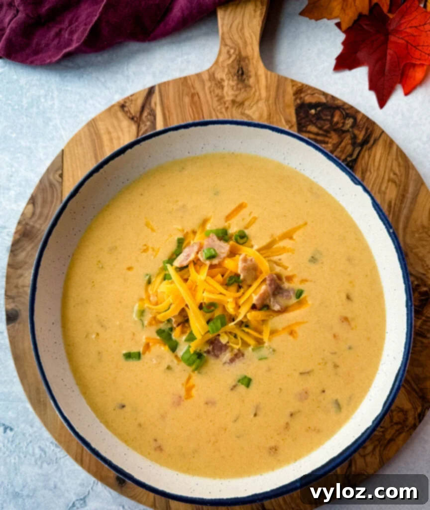 Creamy Beer Cheese Soup with Smoked Bacon 8 beer cheese soup with bacon, shredded cheese, green onions, and a white bowl