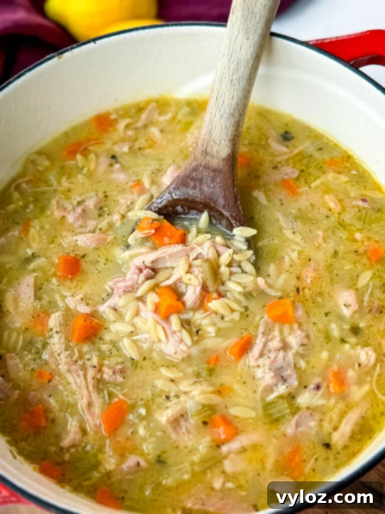 chicken orzo soup with carrots, celery, and a wooden spoon in a red Dutch oven