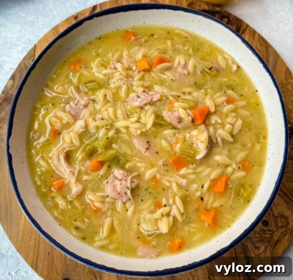 chicken orzo soup with carrots, celery in a white bowl