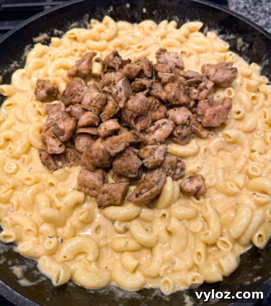 Close-up of chicken mac and cheese with tender chicken chunks mixed into the creamy pasta in a cast iron skillet.