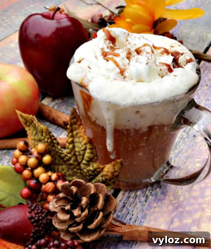 Close-up of Instant Pot Slow-Cooker Skinny Copy-Cat Starbucks Caramel Apple Cider