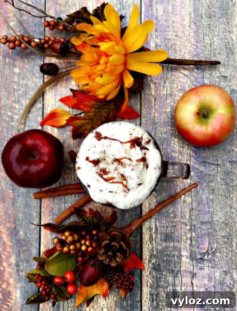 Ingredients for Instant Pot Slow-Cooker Skinny Copy-Cat Starbucks Caramel Apple Cider