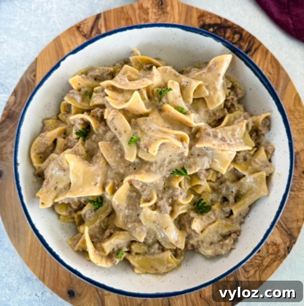 A hearty serving of creamy beef and noodles in a white bowl, ready to be enjoyed.