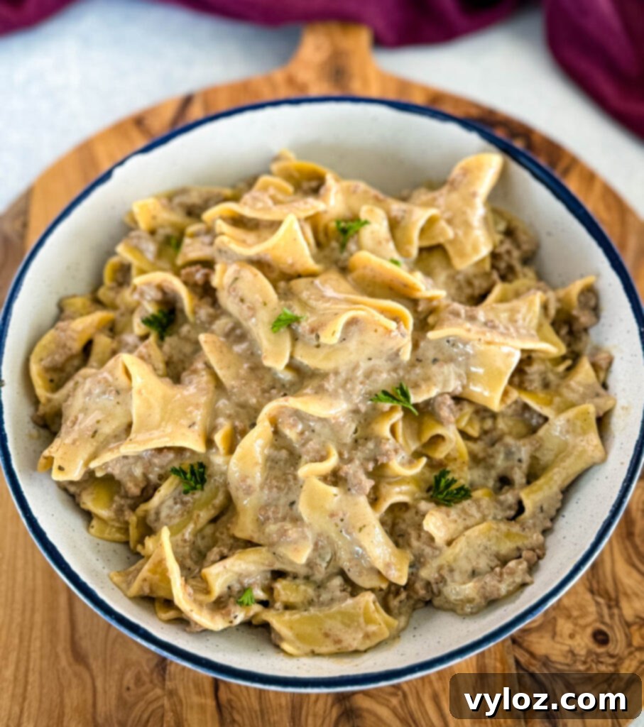A close-up shot of creamy beef and noodles in a white bowl, garnished with fresh herbs, ready to be served.