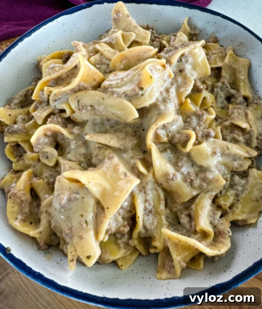 A vibrant bowl of beef and noodles, showing the creamy texture and tender ingredients, ready to be enjoyed.