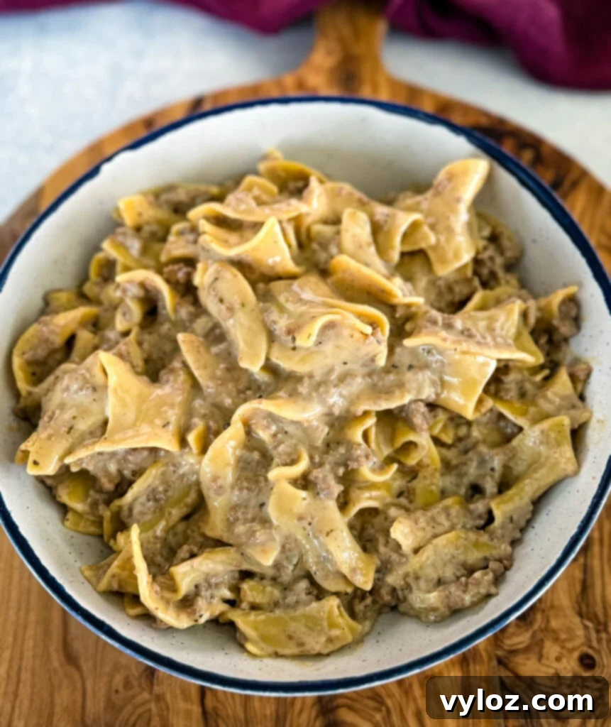 A white bowl filled with creamy beef and noodles, showing the rich sauce and tender pasta.