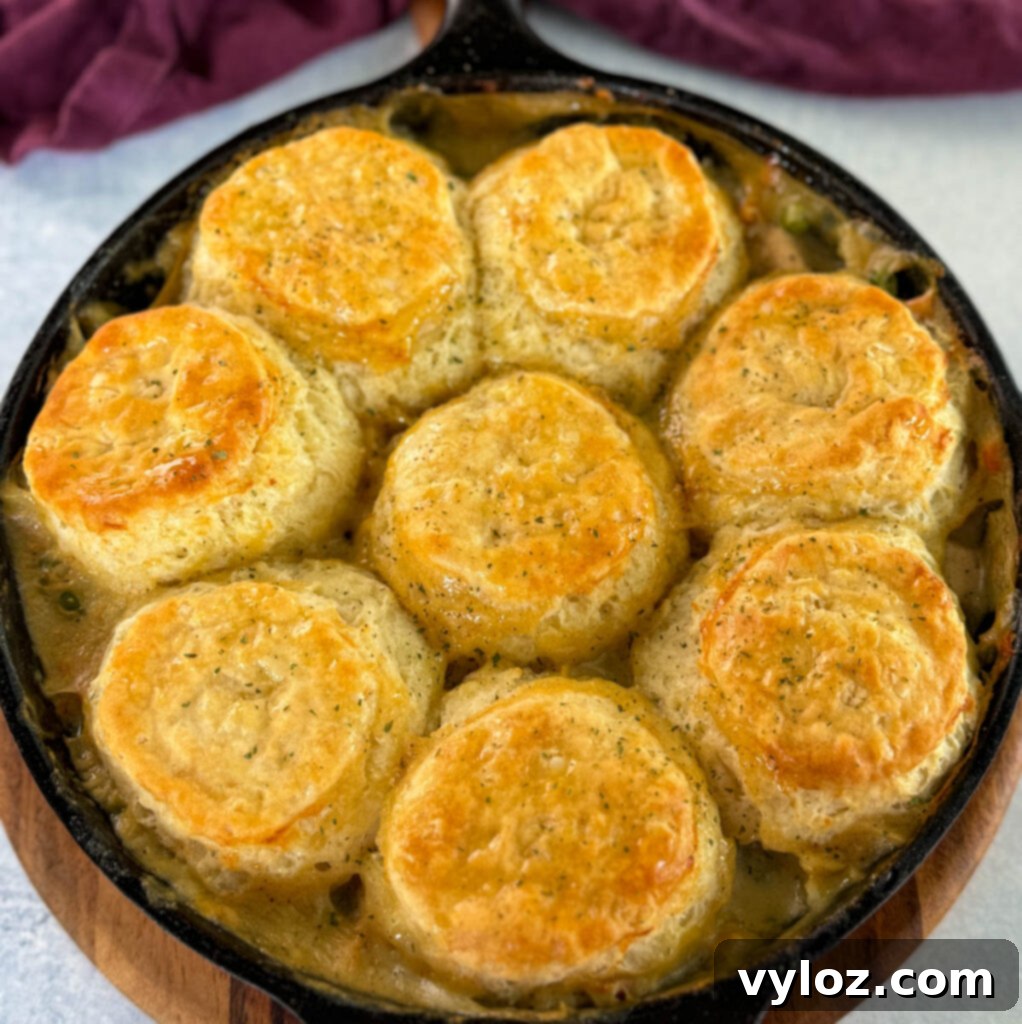 A perfectly baked chicken pot pie with golden biscuits in a cast iron skillet, fresh from the oven and ready to be served.