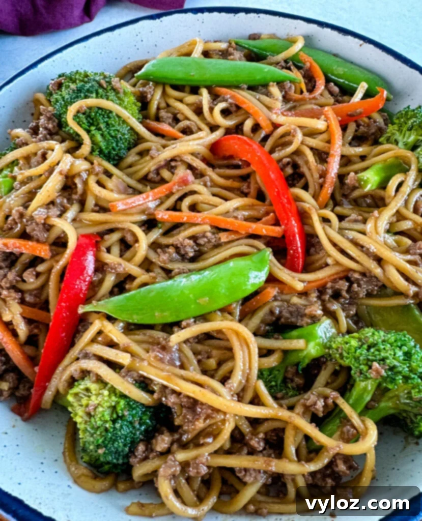 Flavorful Homemade Ground Beef Lo Mein 7 A serving of ground beef lo mein with colorful vegetables in a white bowl, garnished with green onions