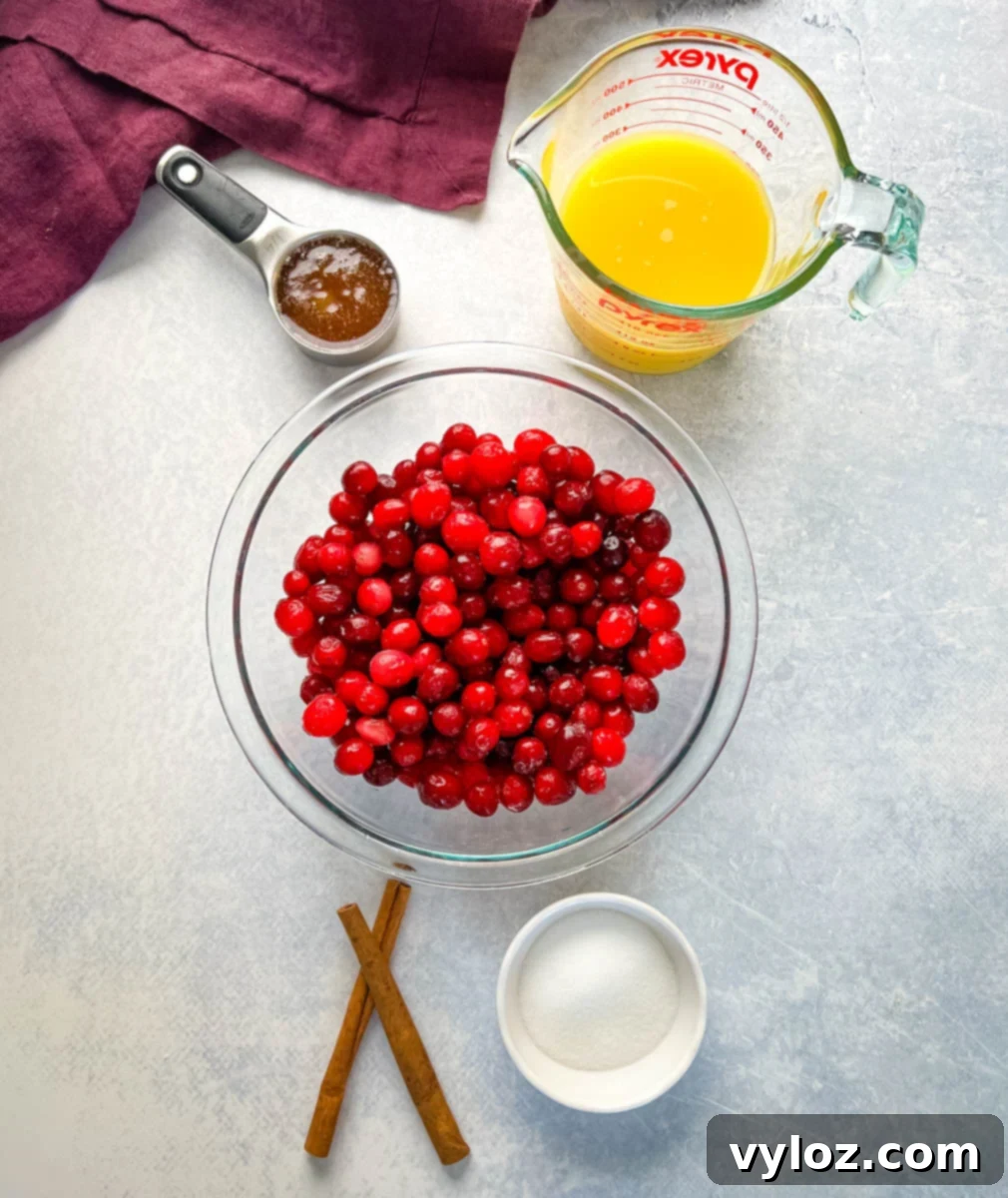 Easy Instant Pot Cranberry Sauce 2 Vibrant homemade Instant Pot cranberry sauce in a serving bowl, garnished with fresh cranberries and orange slices