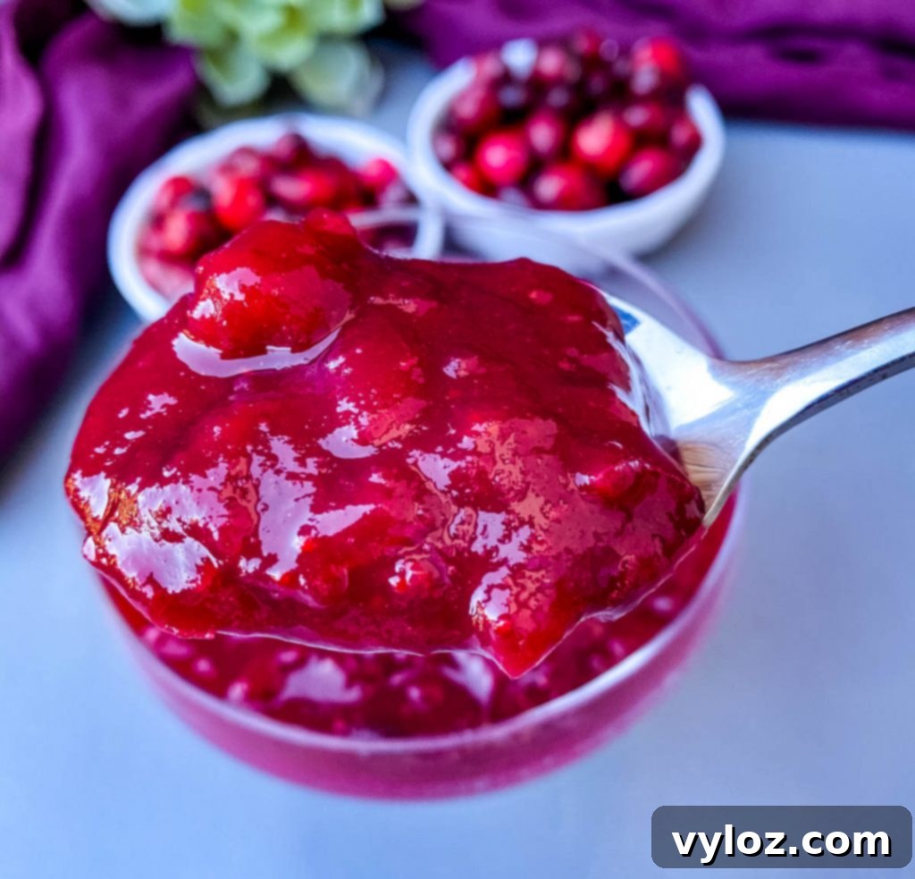 Easy Instant Pot Cranberry Sauce 8 Close-up of a spoonful of Instant Pot cranberry sauce, highlighting its vibrant color and texture