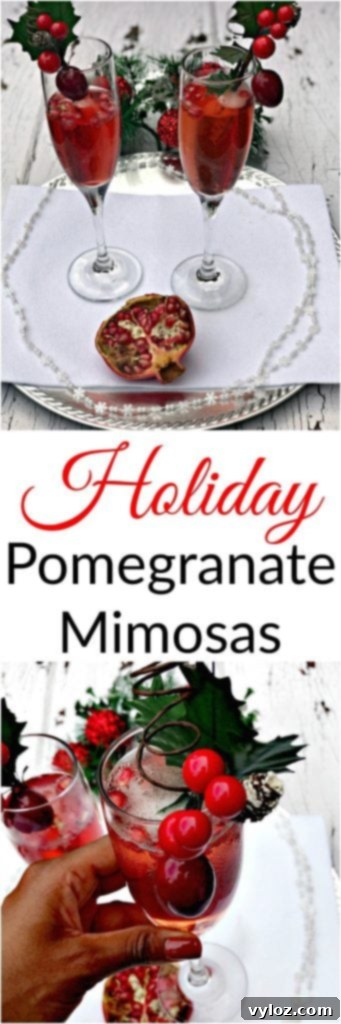 Ruby Red Holiday Fizz 9 Pinterest-friendly vertical image of Pomegranate Holiday Mimosas, inviting users to save the easy holiday cocktail recipe.