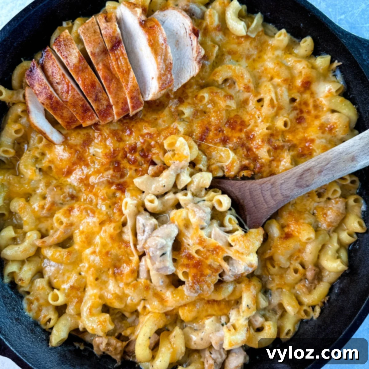A hearty casserole of Chicken Mac and Cheese, showcasing tender chicken pieces mixed with creamy macaroni and a golden-brown cheese topping.