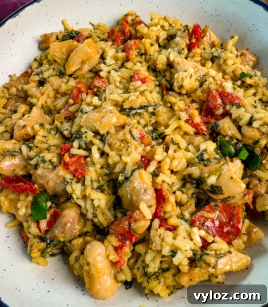 marry me chicken and rice in a white bowl