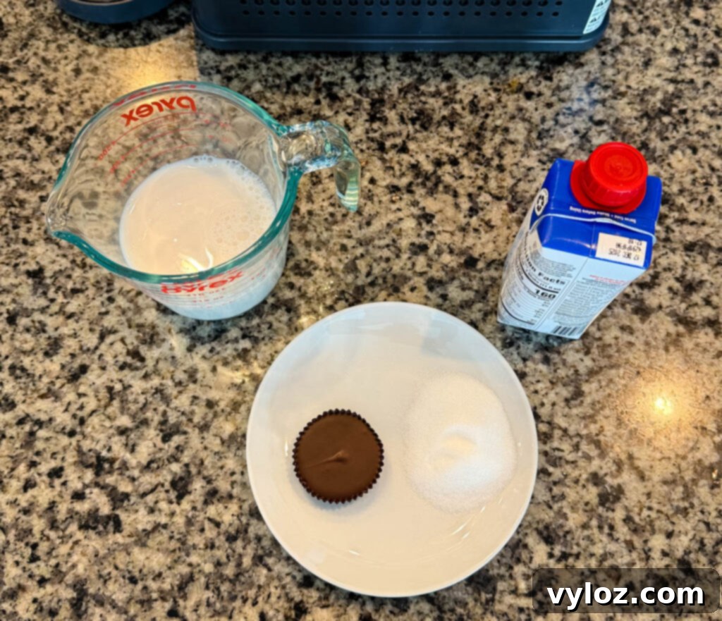Ninja Slushi Ultimate Vanilla Peanut Butter Cup Protein Milkshake 3 Ingredients for the Ninja SLUSHi Vanilla Protein Milkshake, including milk, sugar, a liquid vanilla protein shake, and a protein peanut butter cup displayed on a granite countertop.