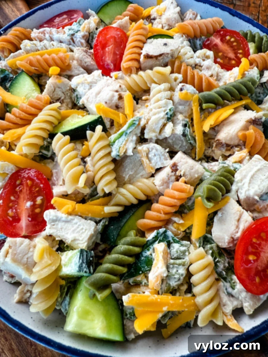Close-up of a bowl filled with colorful High-Protein Chicken Pasta Salad, showing tri-color pasta, grilled chicken pieces, shredded cheddar, cherry tomatoes, cucumbers, and creamy dressing.