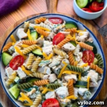 Final Plated Chicken Pasta Salad with Side Dish of Extra Vegetables