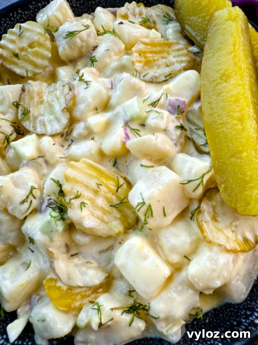 Dill-icious Creamy Potato Salad 10 A close-up image of a bowl of creamy dill pickle potato salad. The salad features cubed potatoes, diced pickles, red onion, celery, and fresh dill, all coated in a creamy dressing. The dish is garnished with sliced pickles and served in a black speckled bowl, with a background of a purple cloth and a small dish of pickles.