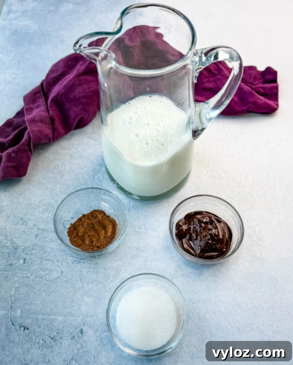 A glass pitcher filled with milk, surrounded by small glass bowls containing cocoa powder, granulated sugar, and melted chocolate, set on a light blue textured surface with a purple cloth in the background.