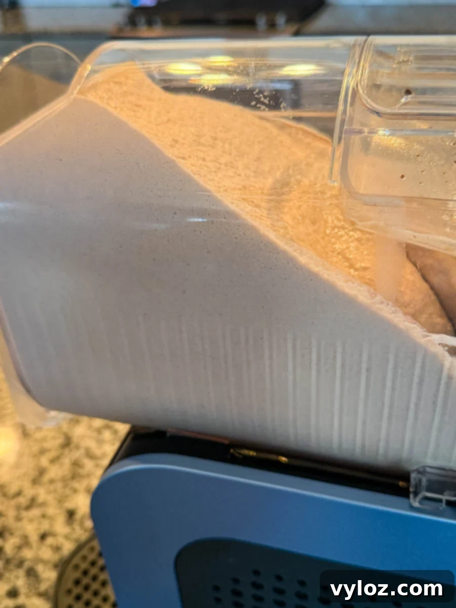 The Frosty mixture churning inside the machine, developing a smooth and creamy texture.