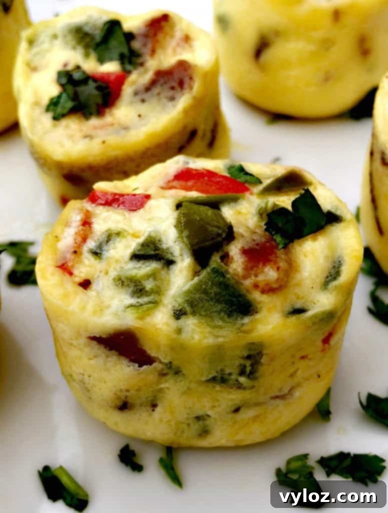 Instant Pot Low-Carb Starbucks Sous Vide Bacon Egg Bites
