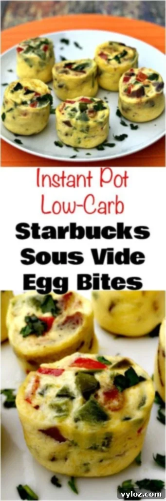 Instant Pot Low-Carb Starbucks Sous Vide Bacon Egg Bites