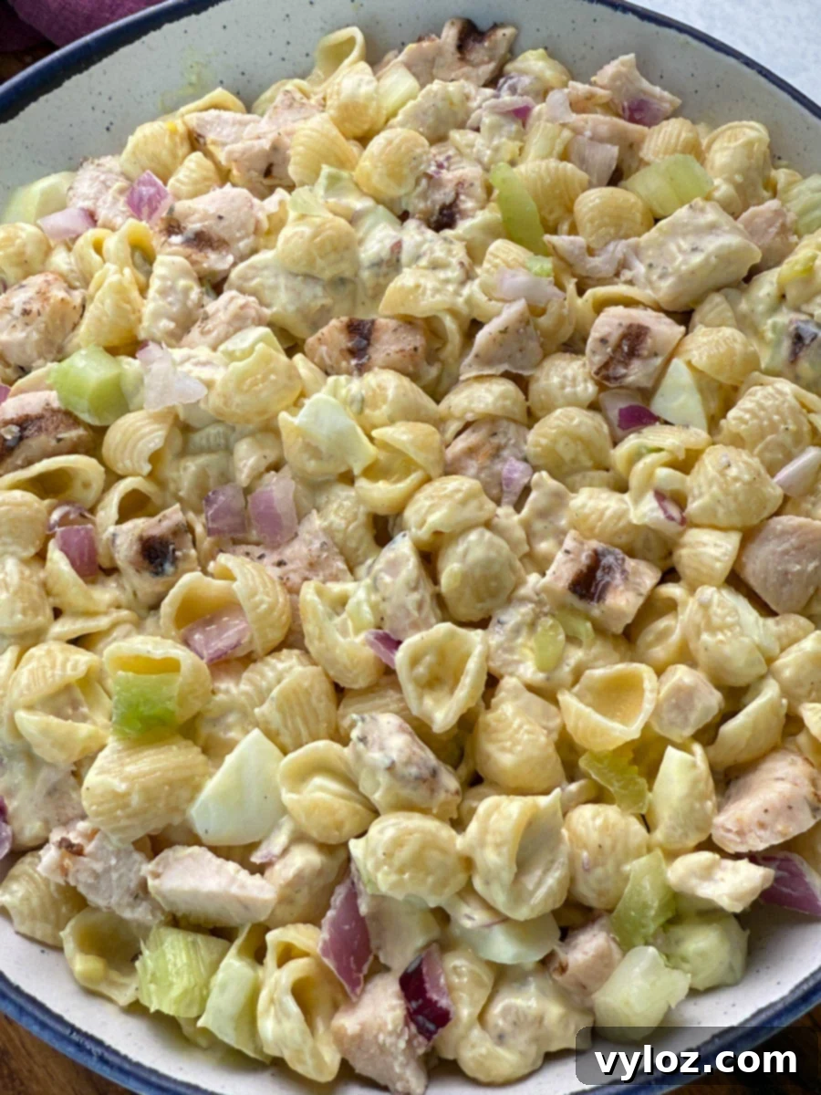 Close-up of creamy chicken macaroni salad made with shell pasta, grilled chicken chunks, red onion, celery, and chopped boiled egg.