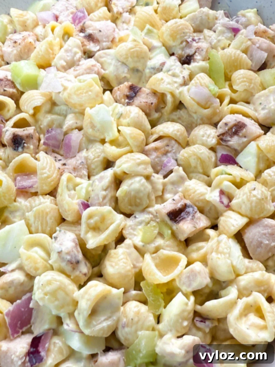 Close-up of creamy chicken macaroni salad made with shell pasta, grilled chicken chunks, red onion, celery, and chopped boiled egg.