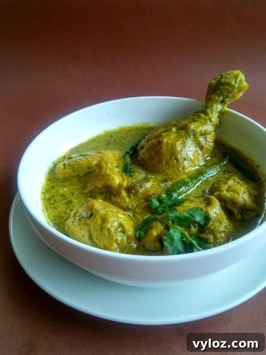 Yogurt Chicken Recipe | Dahi Murgh