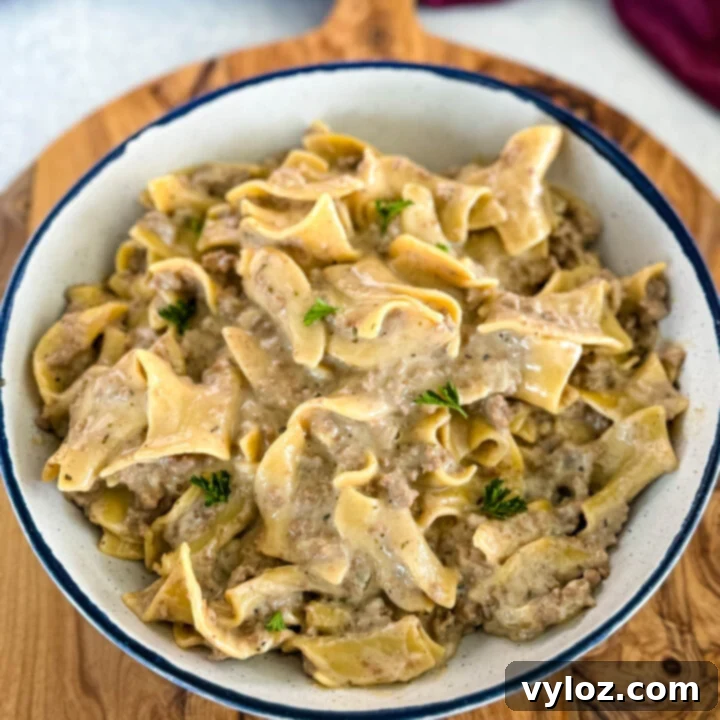 Snatched Summer Body Meal Plan 31 Easy Beef and Noodles with creamy savory sauce