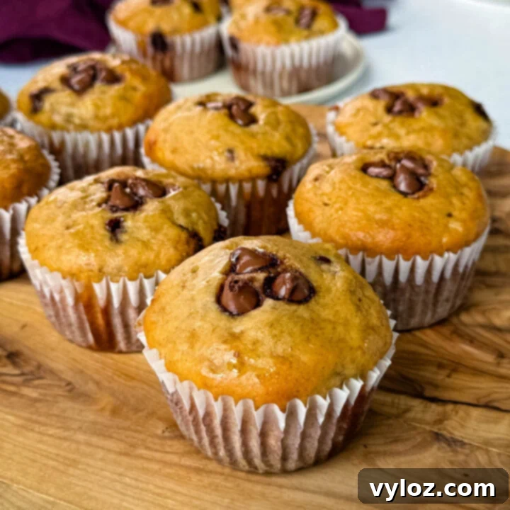 Snatched Summer Body Meal Plan 5 Healthy Banana Protein Muffins with Chocolate Chips
