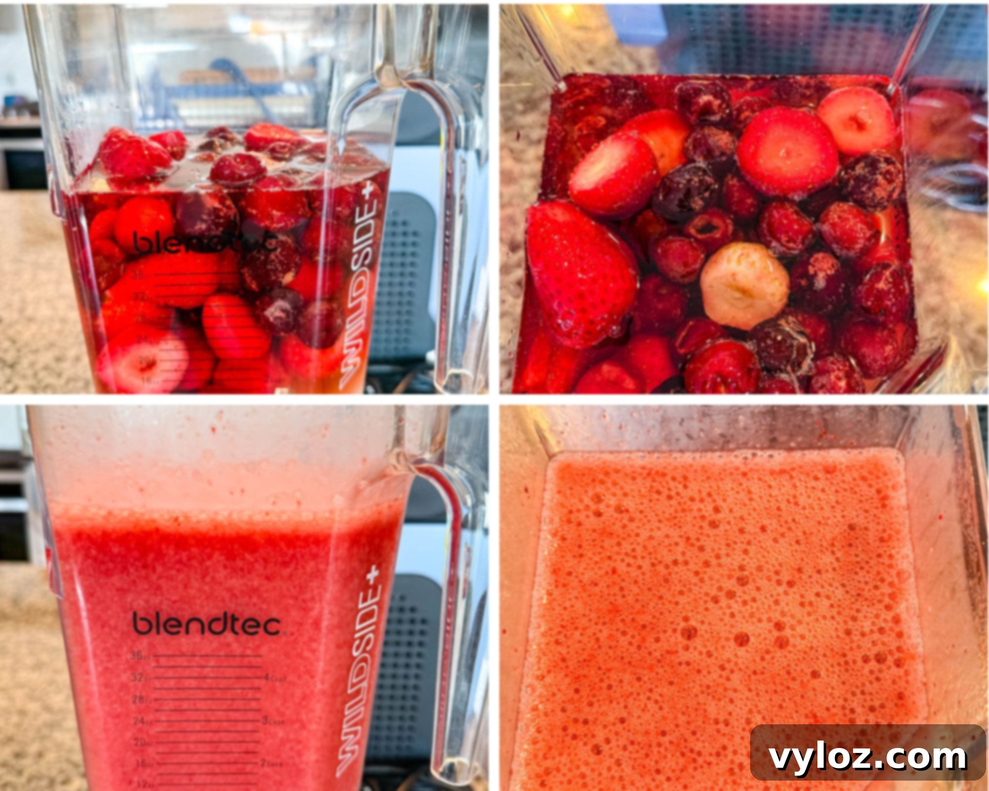 Step-by-step collage showing the Ninja Slushi Frosé process—beginning with frozen berries and rosé wine in a Blendtec blender, blending stages, and ending with a smooth, frothy frosé mixture.