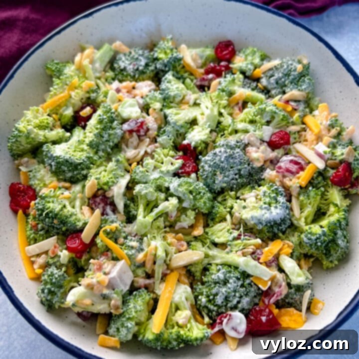 Broccoli Salad with Bacon and Cheese