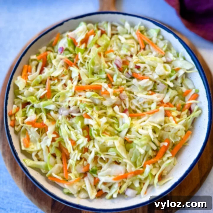 Tangy Vinegar Coleslaw without Mayo