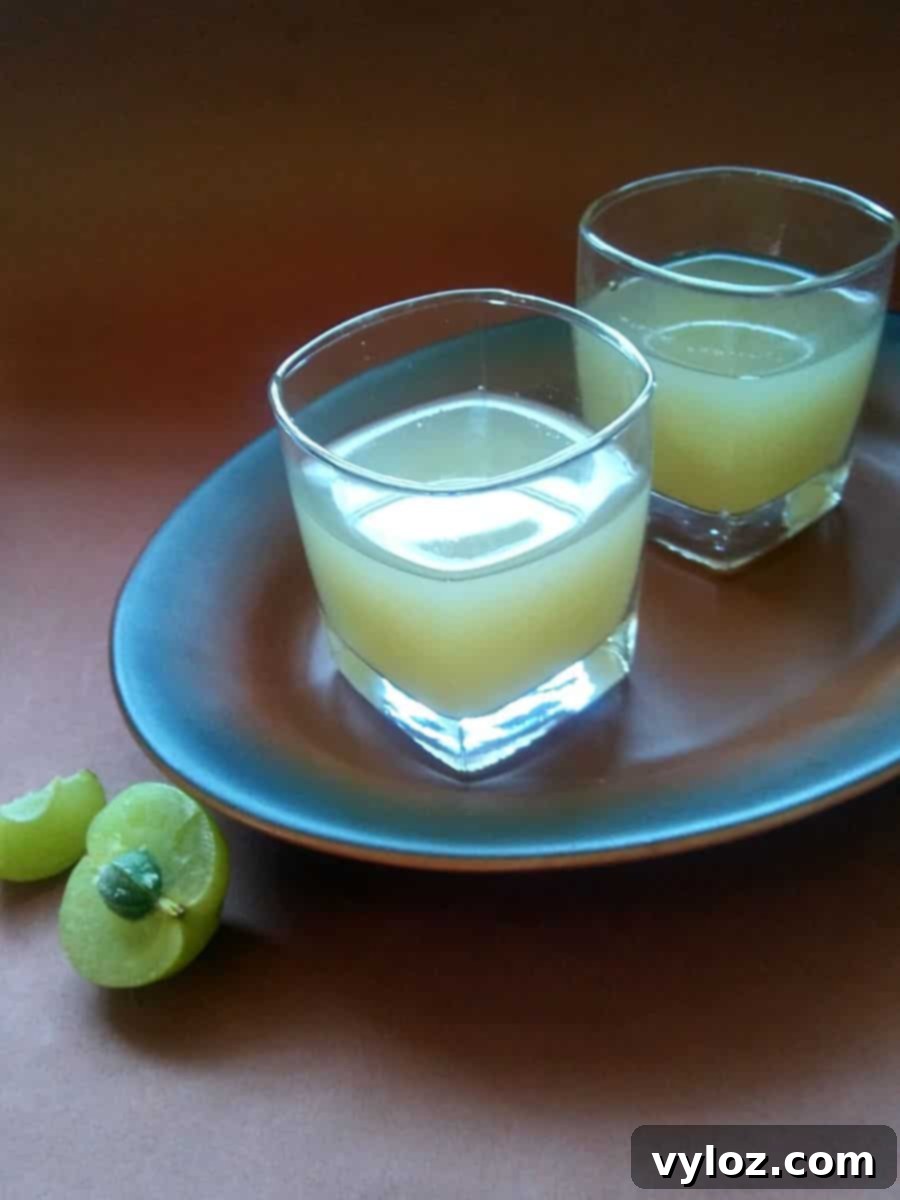 3-Ingredient Amla Juice Recipe 2 Indian gooseberry juice recipe