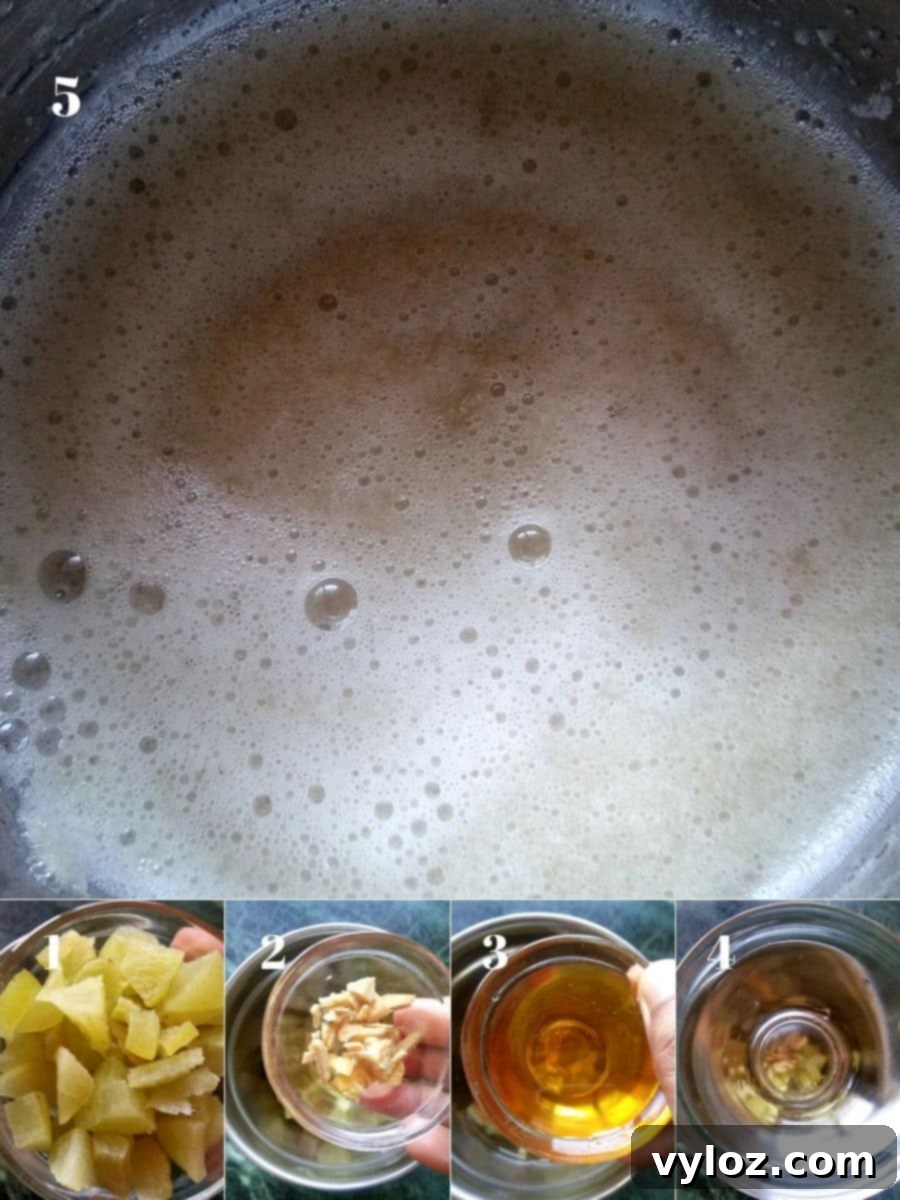 3-Ingredient Amla Juice Recipe 3 Amla juice making steps