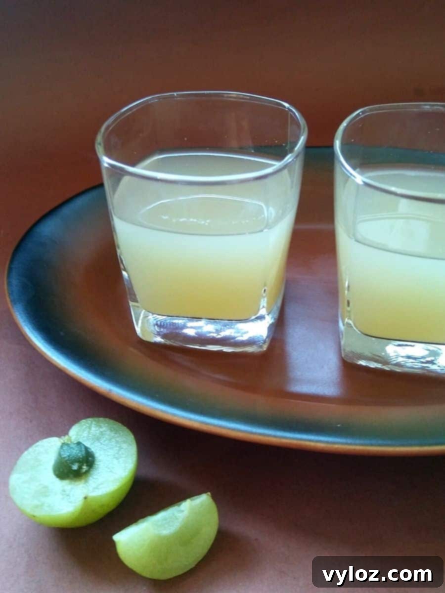 3-Ingredient Amla Juice Recipe 4 Amla juice