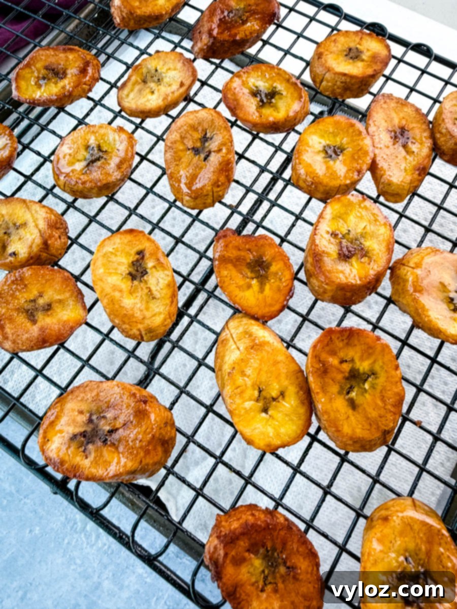 Overhead view of crispy fried plantains evenly spaced on a cooling rack with a slight sheen of oil.