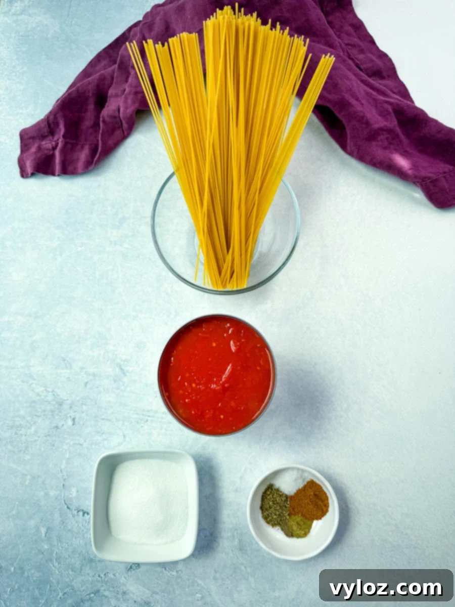 Flat lay arrangement of uncooked spaghetti noodles in a glass bowl, a can of crushed tomatoes, granulated sugar, and a small bowl of seasonings including oregano, Cajun seasoning, and other spices, prepared for making Southern-style spaghetti.