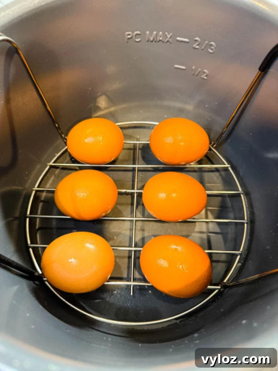 Homestyle Southern Deviled Eggs 5 Six brown eggs on a rack inside an Instant Pot for pressure cooking.