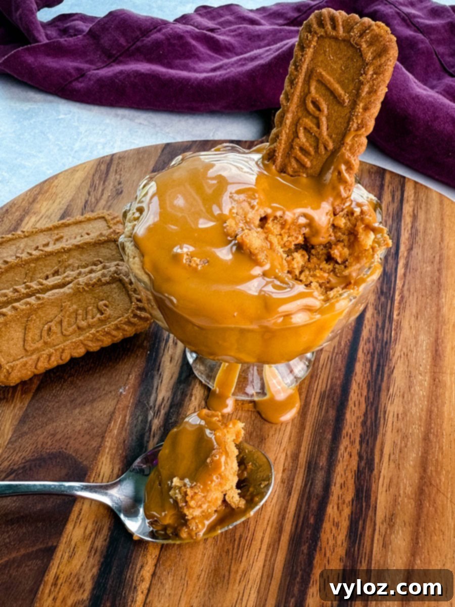 Side view of Biscoff protein mug cake in a glass dish, topped with melted cookie butter and a Lotus cookie, with a spoonful of cake and Biscoff spread in front.