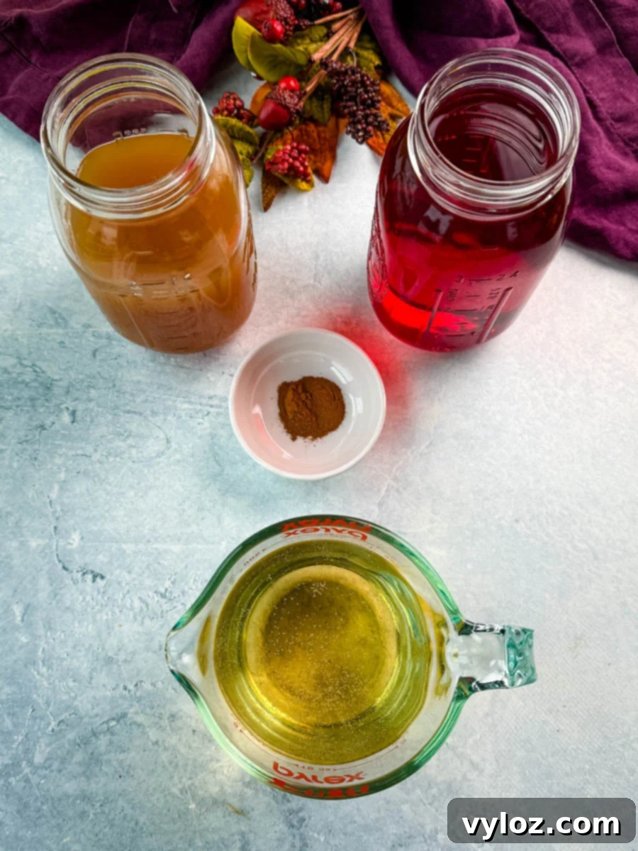 Golden Harvest Punch 4 Overhead shot of ingredients for Thanksgiving punch including apple cider, cranberry juice, ginger ale, and a small dish of ground cinnamon.